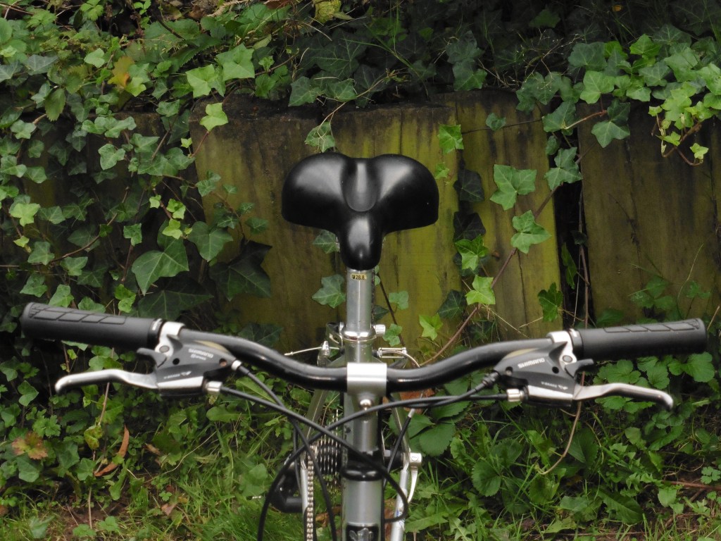 vélo enfant occasion Rennes
vélo électrique occasion Rennes